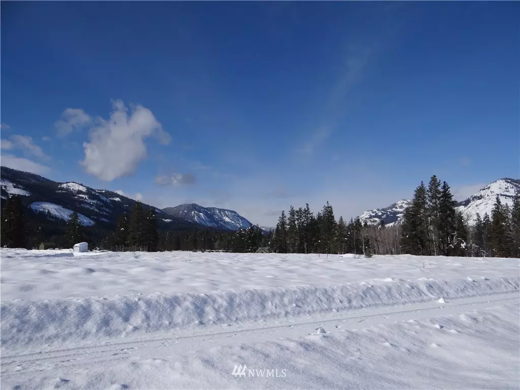 Winthrop, WA 98862,24 Lodge LN