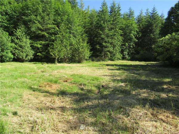 0 Lot 1 Guerrier RD, Onalaska, WA 98570