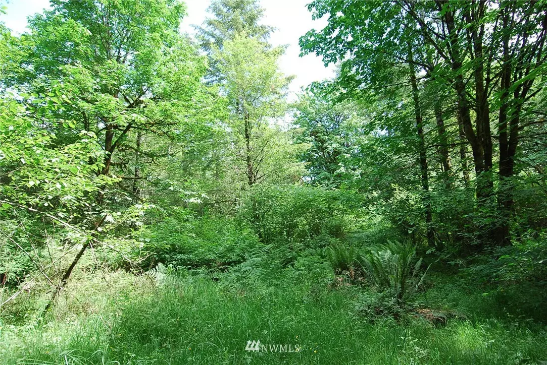 Shelton, WA 98584,0 xxx E Old Farm RD