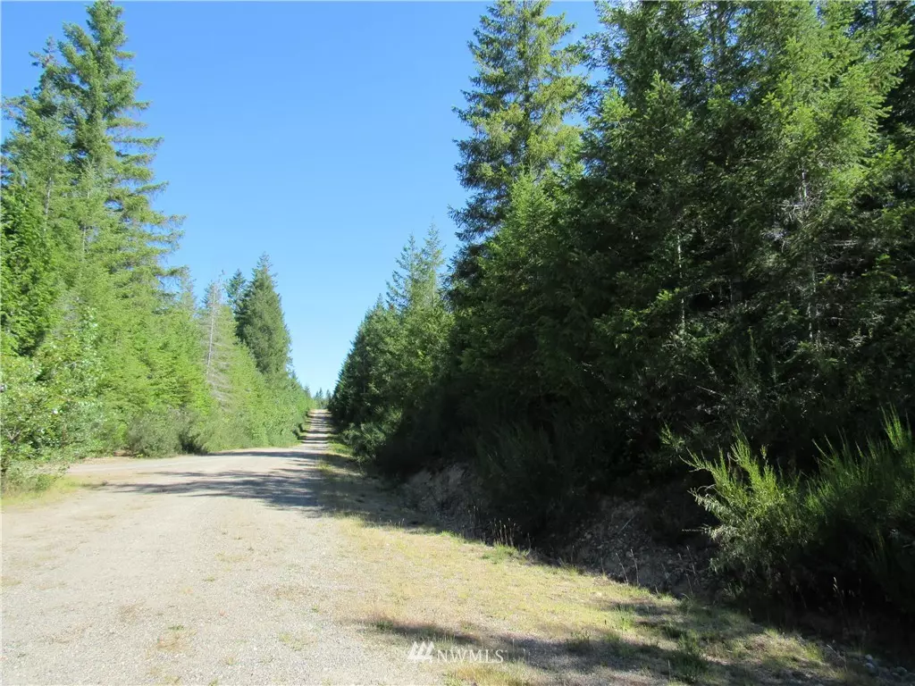 Seabeck, WA 98380,19 .5 acres W Ludvick Lake DR