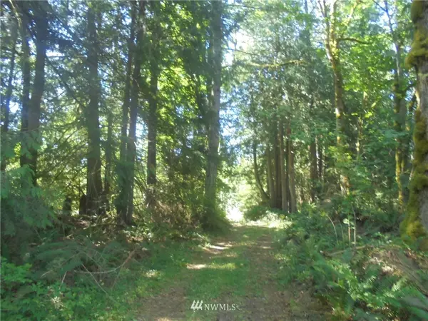 Quilcene, WA 98376,0 Center RD