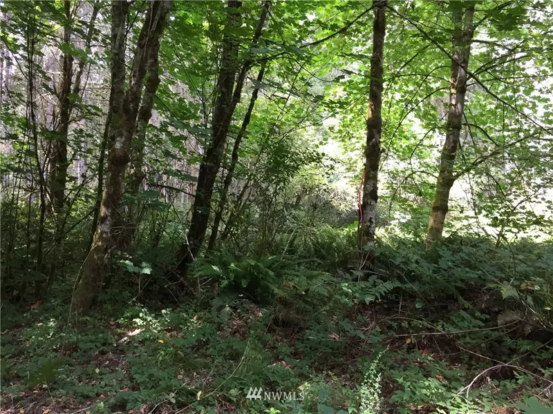 0 3rd ST NW, Lakebay, WA 98349