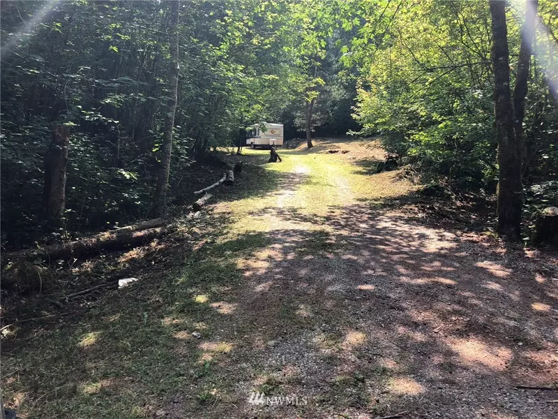 36 7 Big Tree DR, Deming, WA 98244