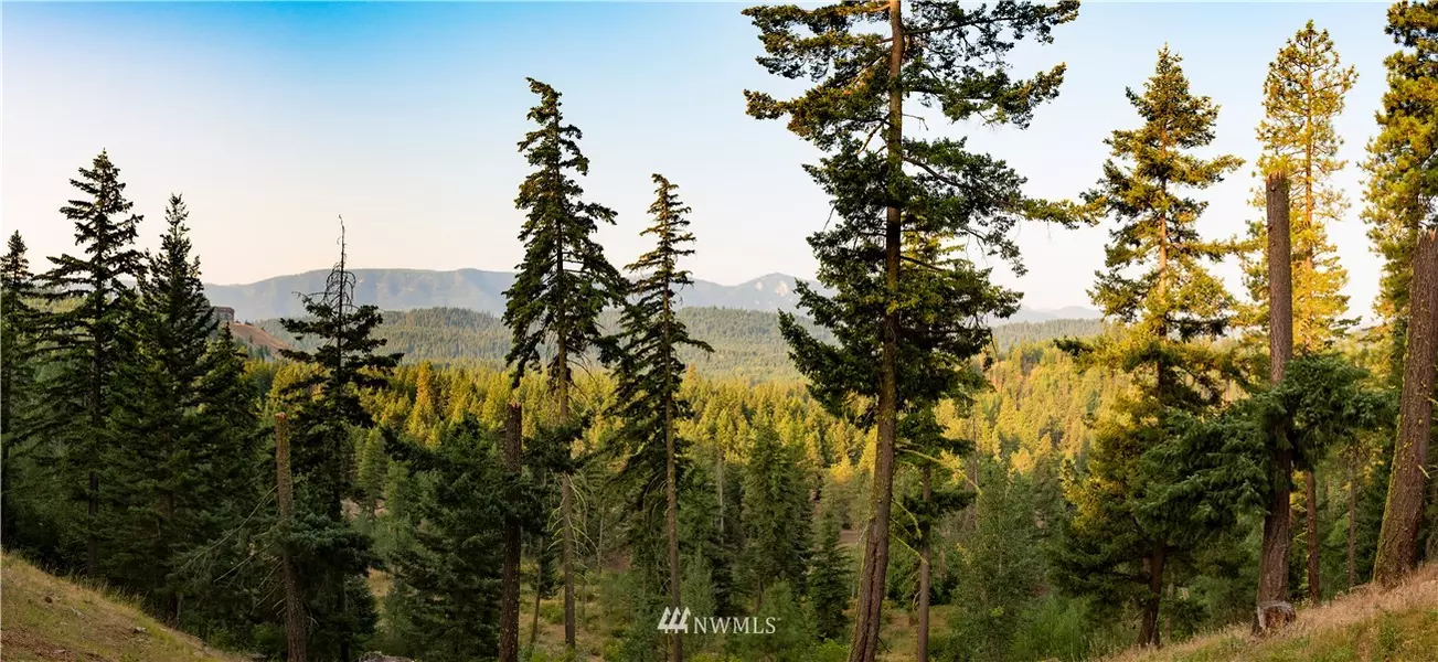 24 Kokanee LOOP, Cle Elum, WA 98922