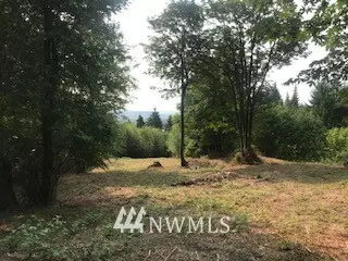 Cathlamet, WA 98612,0 Lot 3 Twin Springs DR