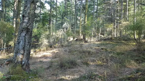 Orcas Island, WA 98279,0 lot 22, 23 Obstruction Pass RD