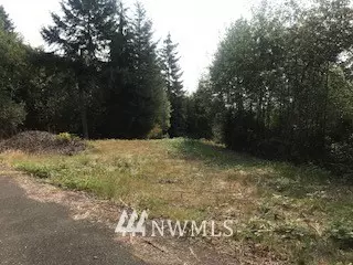 0 Lot 1 Twin Springs DR, Cathlamet, WA 98612