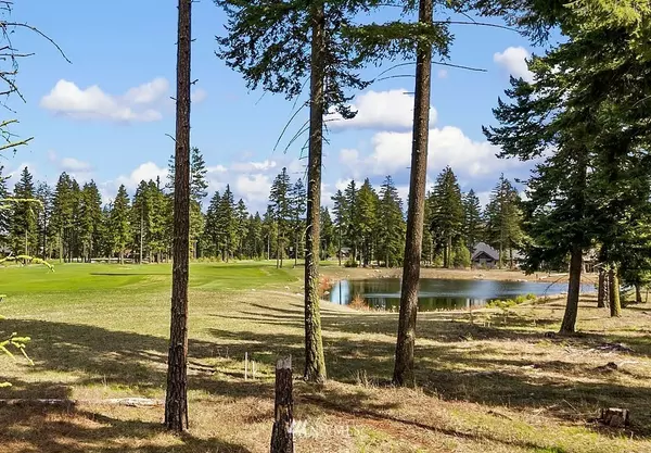 Cle Elum, WA 98922,221 Larkspur LOOP