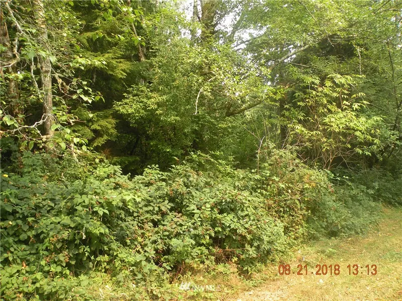 6 Willa view LN, Bay Center, WA 98527