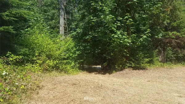 450 Elk DR, Brinnon, WA 98320