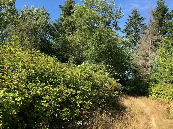 0 xxx S 11th ST, Shelton, WA 98584
