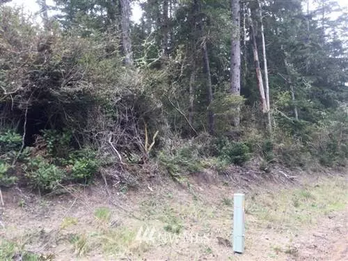 Ocean Park, WA 98640,27522 approx U ST