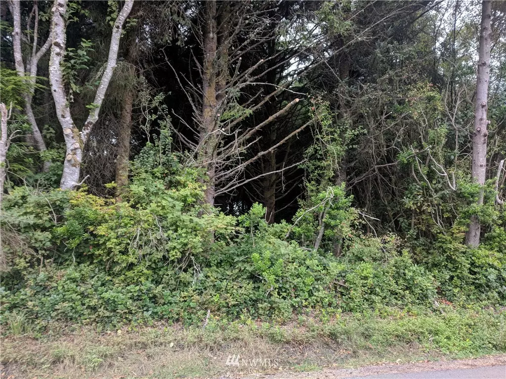 Ocean Shores, WA 98569,831 Anchor AVE NW