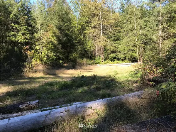 Issaquah, WA 98027,12811 195th PL SE