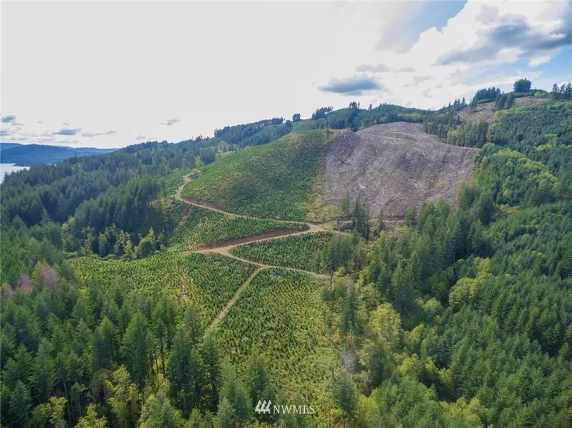0 Lewis River RD, Cougar, WA 98616