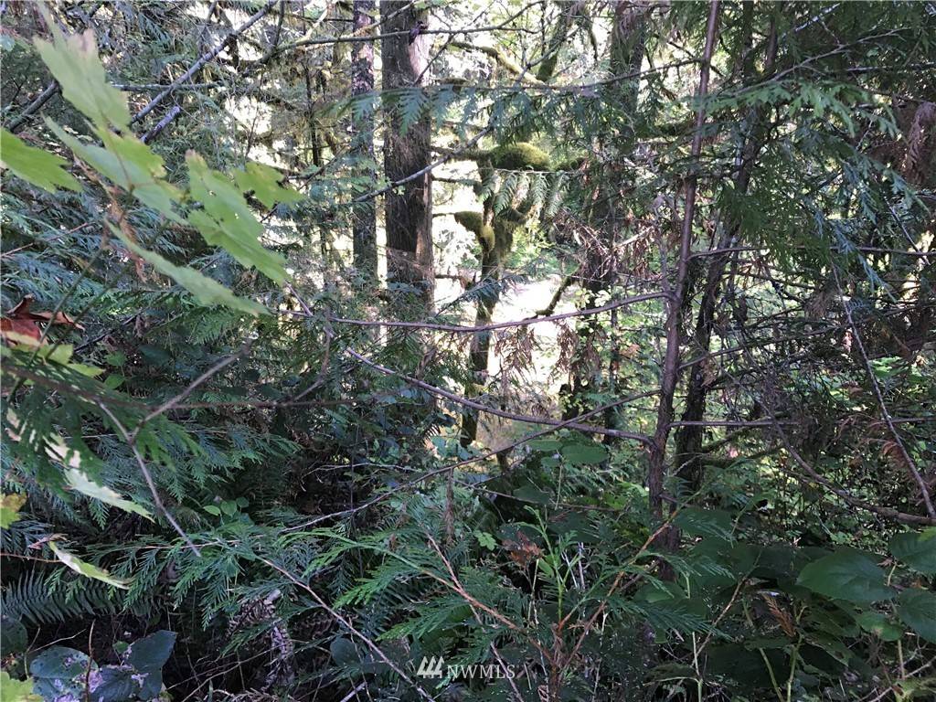 1370 W Satsop Maple Glen RD, Elma, WA 98541