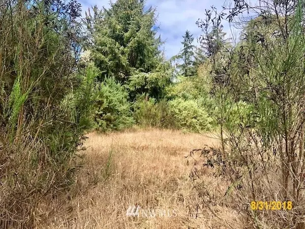 0 Espy Drive and Y Lane, Oysterville, WA 98641