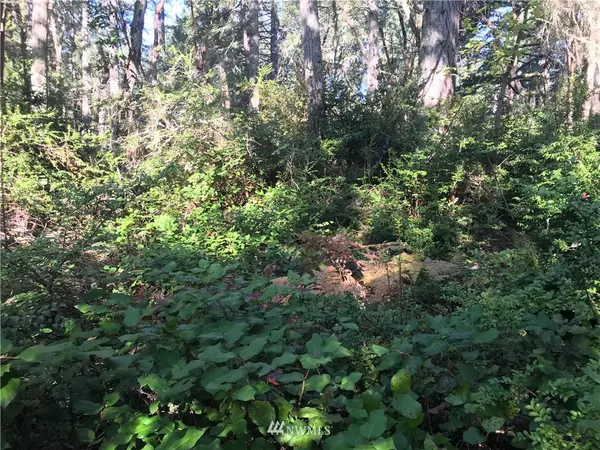 10422 Olympic PL #AI, Anderson Island, WA 98303