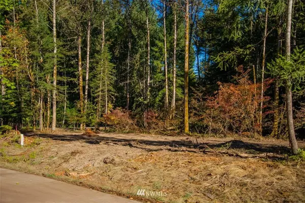 Packwood, WA 98361,144 Bugle LN