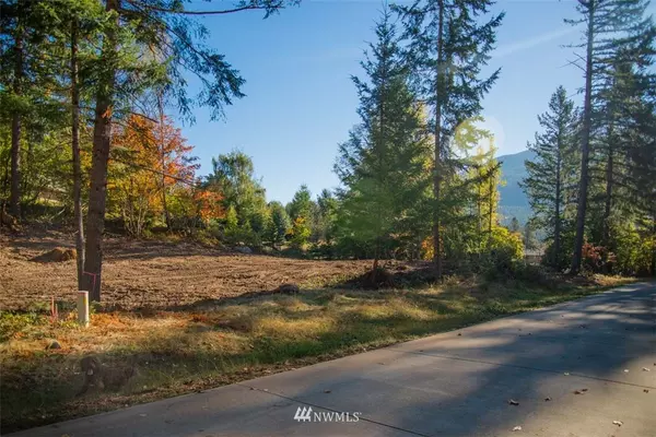 Packwood, WA 98361,136 Bugle LN