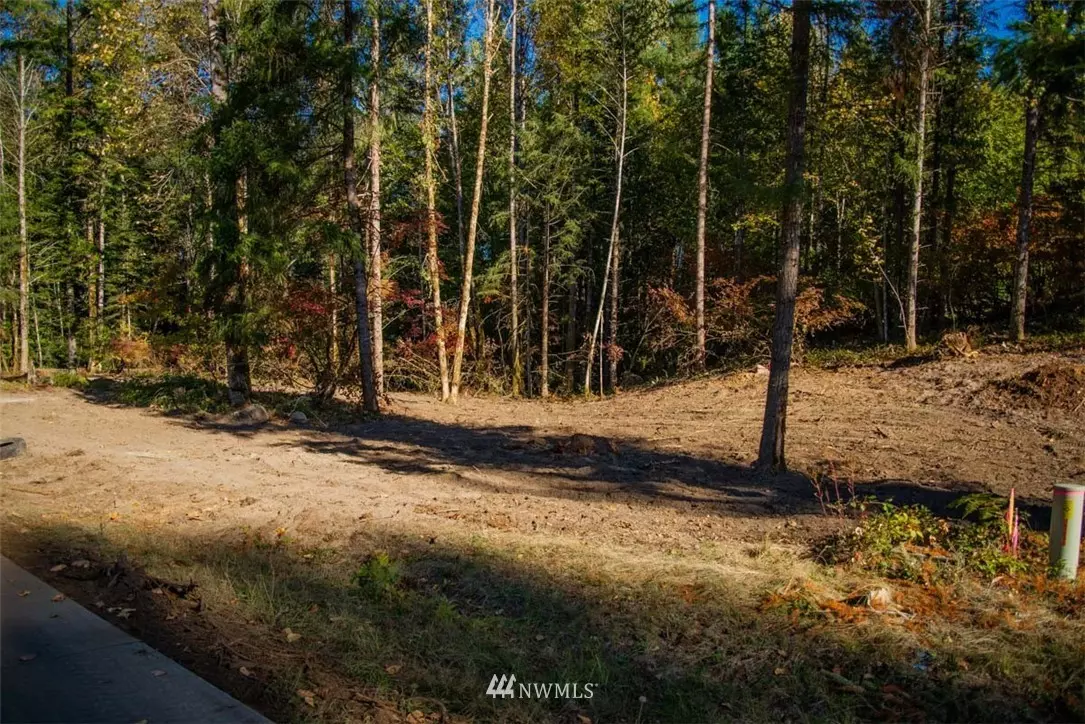 Packwood, WA 98361,136 Bugle LN