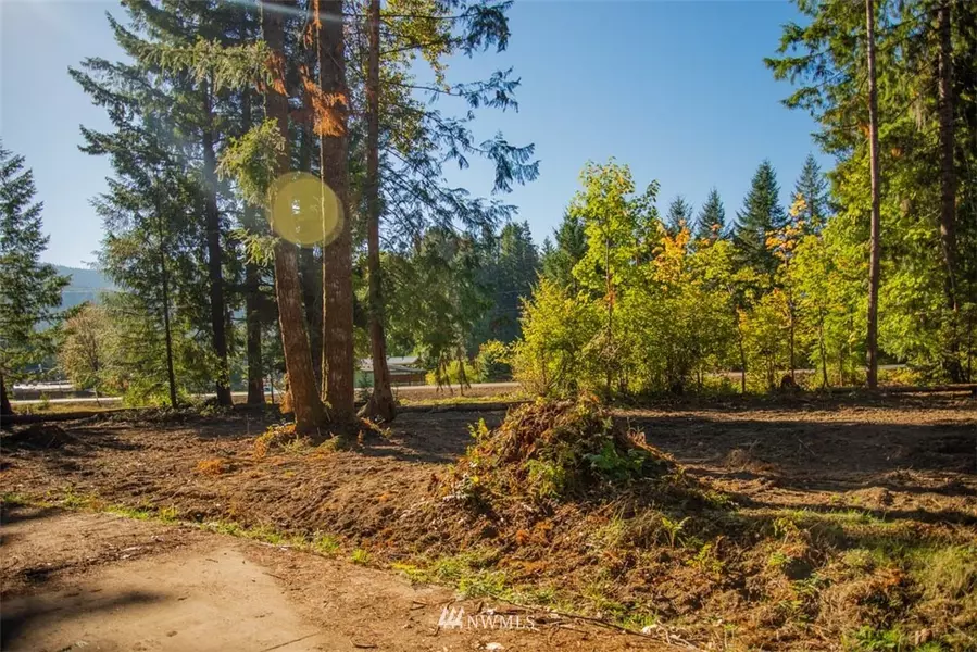 126 Bugle LN, Packwood, WA 98361