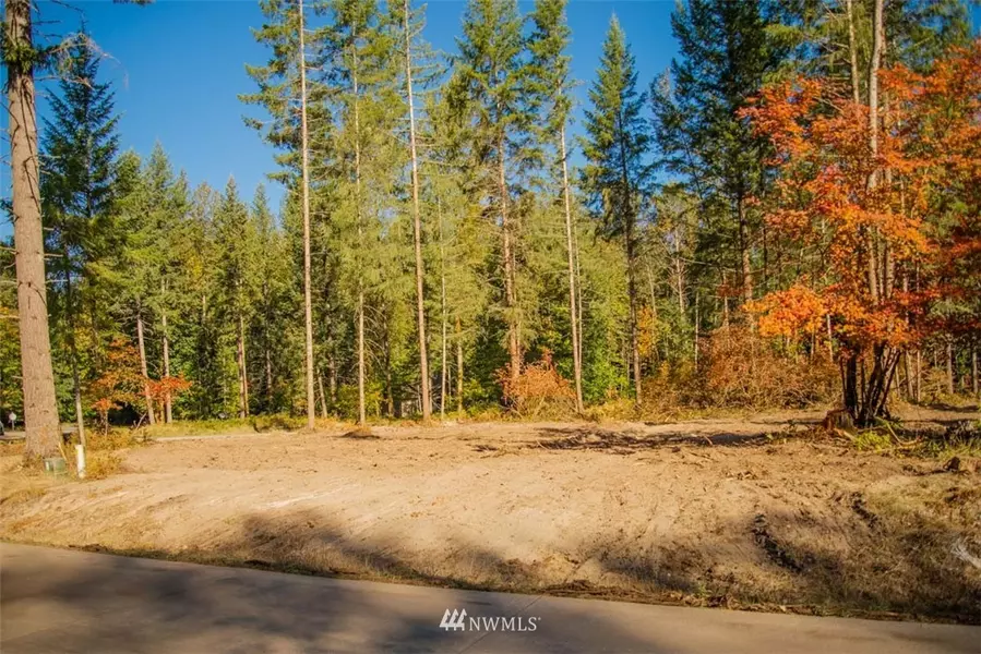 115 Bugle LN, Packwood, WA 98361