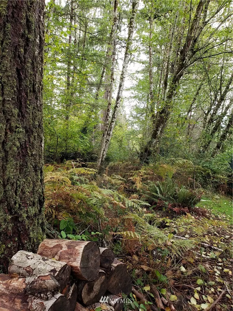 Shelton, WA 98584,561 E Lakeshore DR W