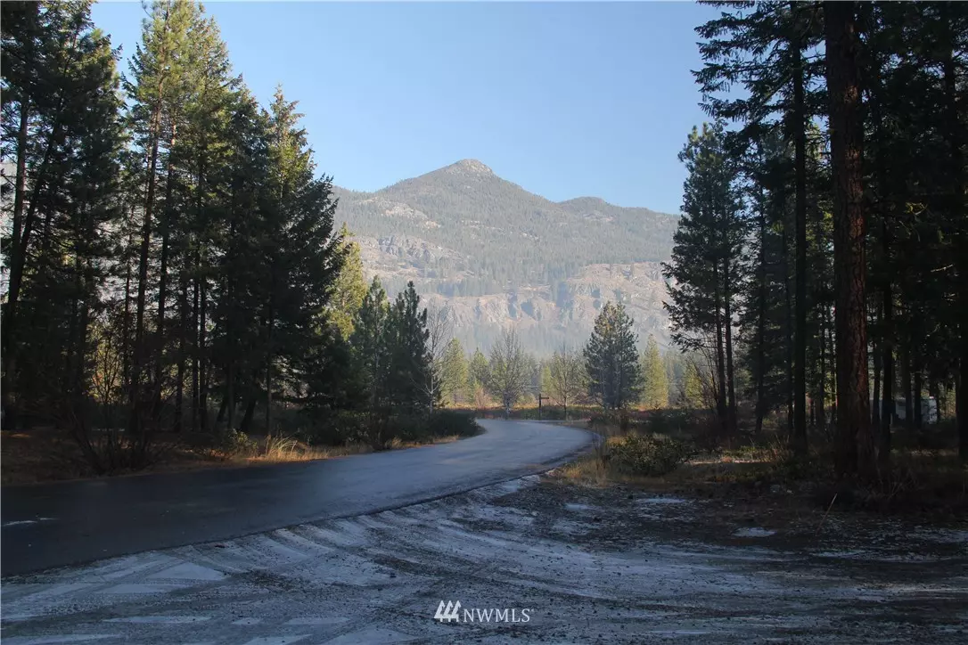 Mazama, WA 98833,11 Freestone Lake DR