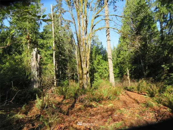 Port Orchard, WA 98366,0 Lot A SE Yeshua LN