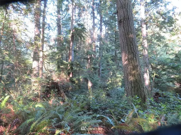 Port Orchard, WA 98366,0 Lot A SE Yeshua LN