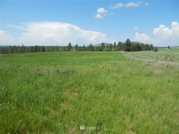 1 Hwy 25 N, Davenport, WA 99122