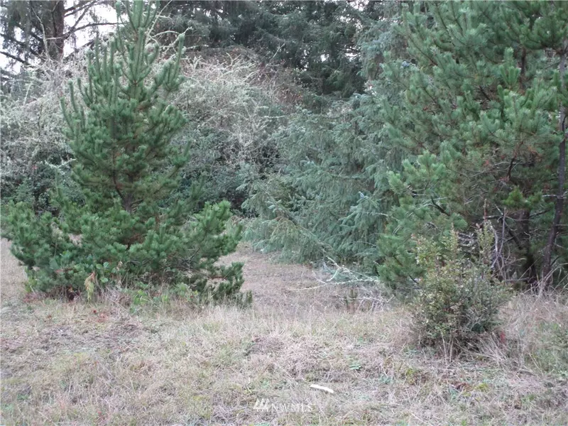 757 Point brown AVE SW, Ocean Shores, WA 98569