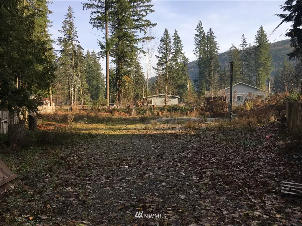 Maple Falls, WA 98266,8544 Lilac LN