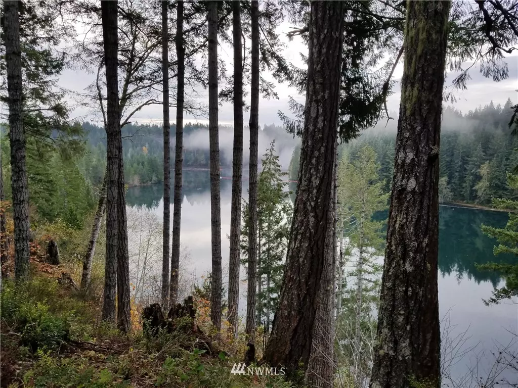 Hoodsport, WA 98548,530 N Mountain View DR