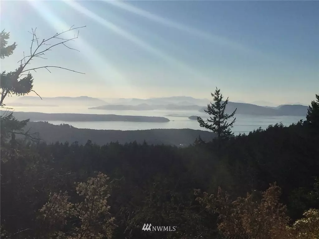 Orcas Island, WA 98245,3140 Buck Mountain-Lot 96