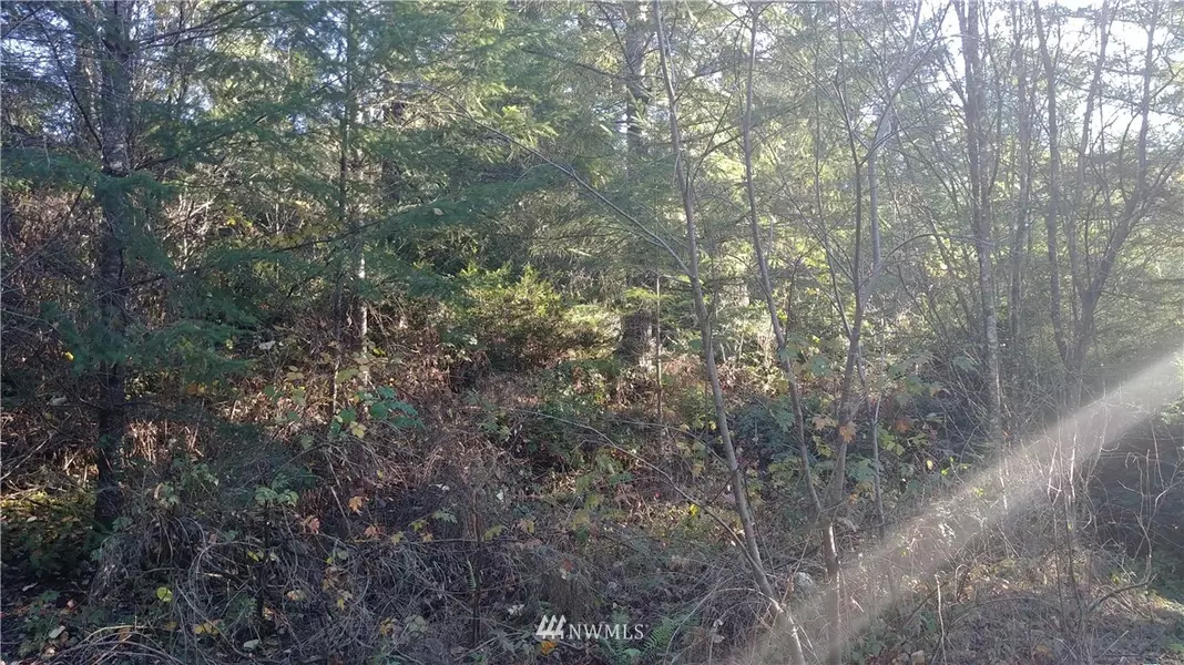 176 xx 134th AVE NW, Gig Harbor, WA 98239