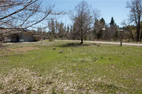 0 Lot 17 Greenwood RD, Winthrop, WA 98862