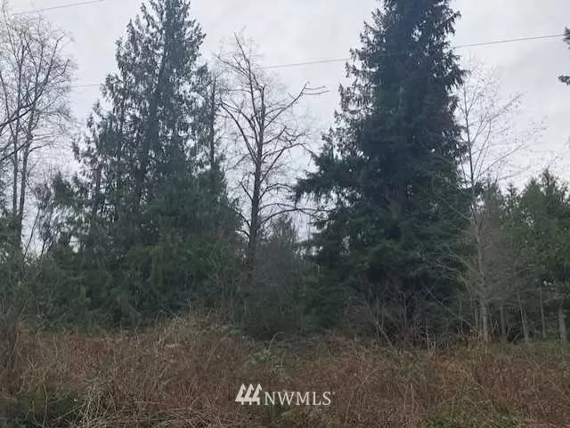 Stanwood, WA 98292,7600 Block 165th AVE NW