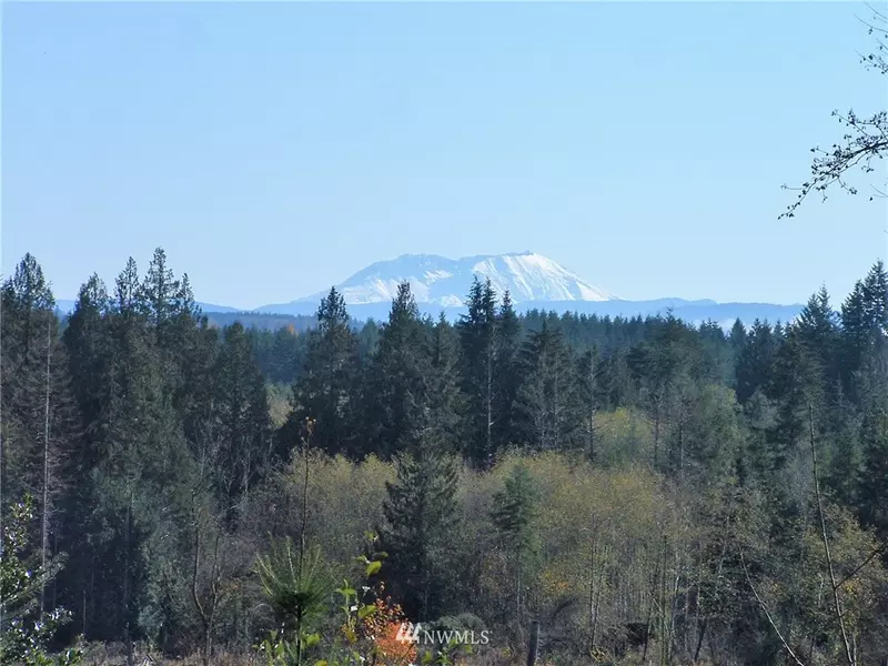 170 Wirsdorfer RD, Onalaska, WA 98570