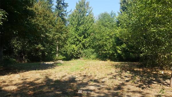 1211 298th ST E, Roy, WA 98580