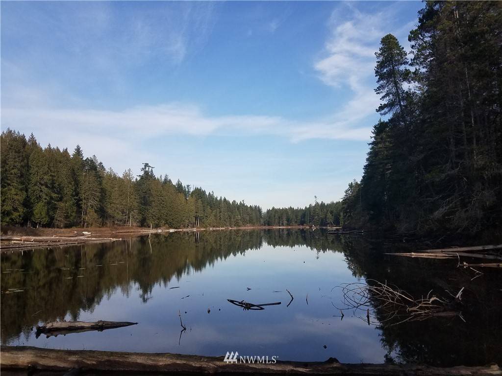 123 Coon DR S, Belfair, WA 98528