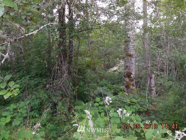 0 Harry Brown RD, Port Angeles, WA 98363