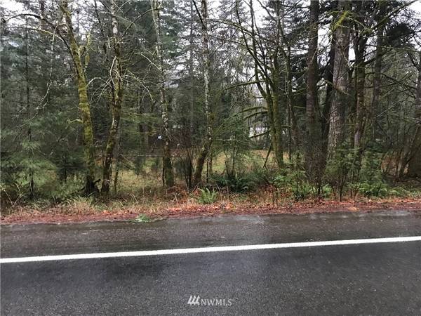 2 Lewis River RD, Ariel, WA 98603