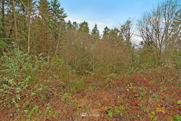 Burien, WA 98166,15429 Maplewild AVE SW