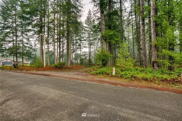 Shelton, WA 98584,0 E Cranberry Creek RD