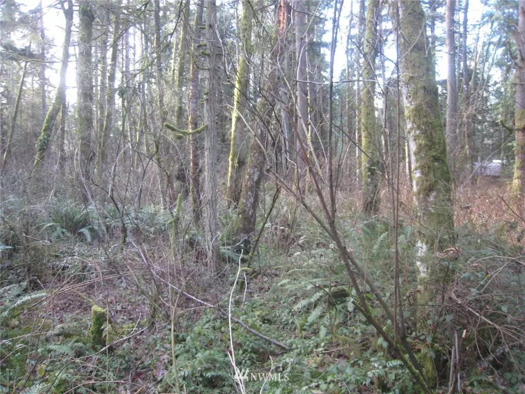 Stanwood, WA 98292,46 XX  Lot D 192nd St NW