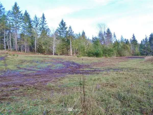 308766 Highway 101, Brinnon, WA 98320