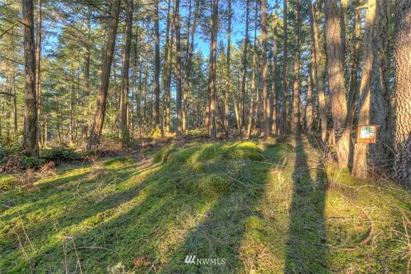 Orcas Island, WA 98243,4 Spring Point Lot 4B RD