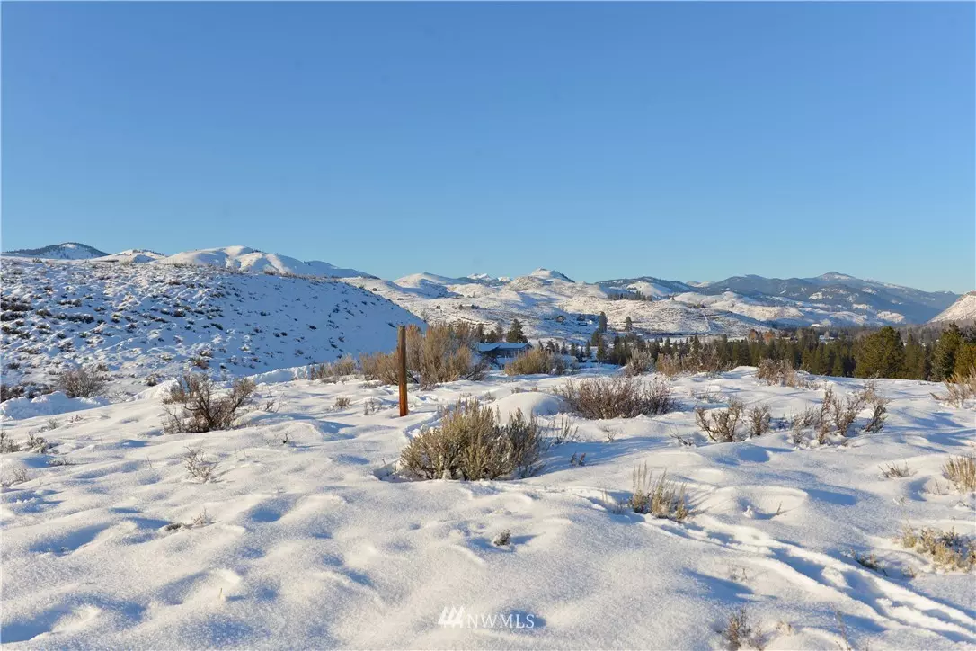 Winthrop, WA 98862,0 LOT 11 Ridge DR